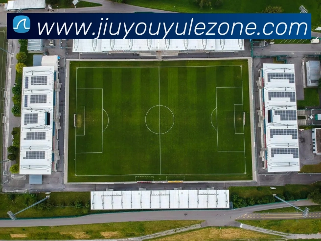 App Interface Preview